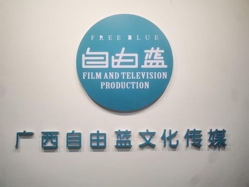 央媒品牌天下播報全國亞健康標(biāo)準(zhǔn)化建設(shè)新聞發(fā)布會在廣西南寧召開